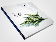 TIGER TRANSLATE. MERGE BOOK